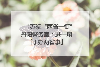 苏皖“两省一街”丹阳警务室：进一扇门 办两省事