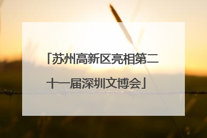 苏州高新区亮相第二十一届深圳文博会