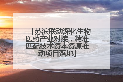 苏滨联动深化生物医药产业对接，精准匹配技术资本资源推动项目落地