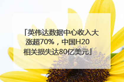 英伟达数据中心收入大涨超70%，中国H20相关损失达80亿美元