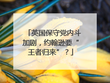 英国保守党内斗加剧，约翰逊要“王者归来”？