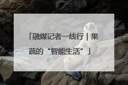 融媒记者一线行｜果蔬的“智能生活”