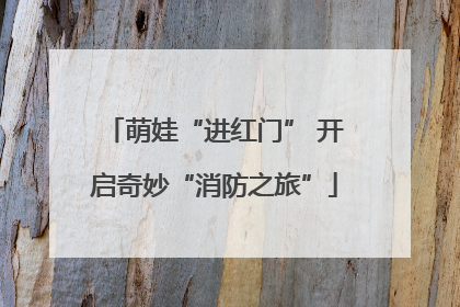 萌娃“进红门” 开启奇妙“消防之旅”