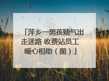 萍乡一男孩赌气出走迷路 收费站员工暖心相助（图）