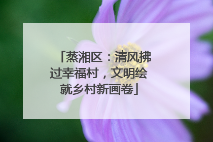 蒸湘区：清风拂过幸福村，文明绘就乡村新画卷