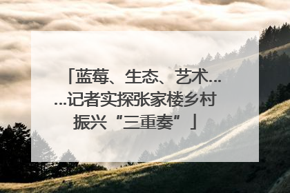 蓝莓、生态、艺术……记者实探张家楼乡村振兴“三重奏”