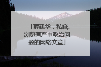 薛建华，私藏、浏览有严重政治问题的网络文章
