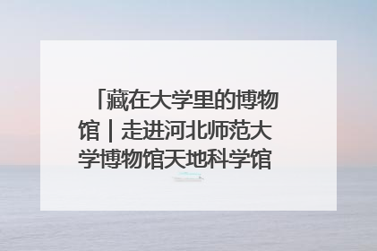 藏在大学里的博物馆｜走进河北师范大学博物馆天地科学馆：在校园里赴一场“宇宙之约”