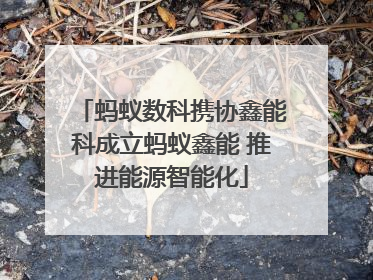 蚂蚁数科携协鑫能科成立蚂蚁鑫能 推进能源智能化