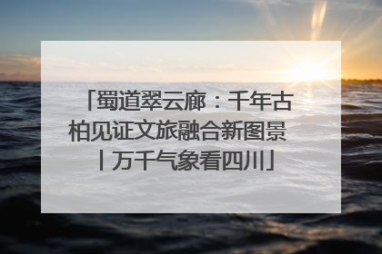 蜀道翠云廊：千年古柏见证文旅融合新图景丨万千气象看四川