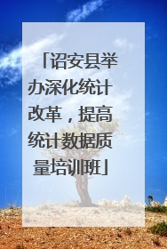 诏安县举办深化统计改革,提高统计数据质量培训班
