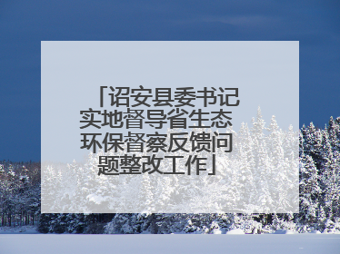 诏安县委书记实地督导省生态环保督察反馈问题整改工作