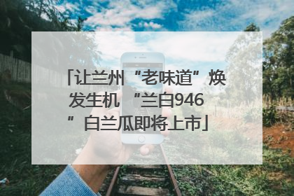 让兰州“老味道”焕发生机 “兰白946”白兰瓜即将上市