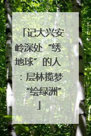 记大兴安岭深处“绣地球”的人：层林揽梦“绘绿洲”