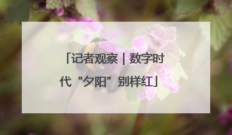 记者观察｜数字时代“夕阳”别样红