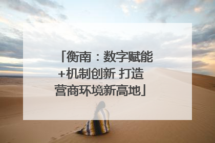 衡南：数字赋能+机制创新 打造营商环境新高地