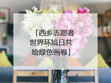 西乡志愿者世界环境日共绘绿色画卷