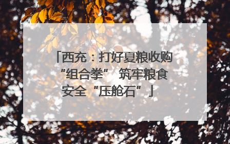 西充：打好夏粮收购“组合拳” 筑牢粮食安全“压舱石”