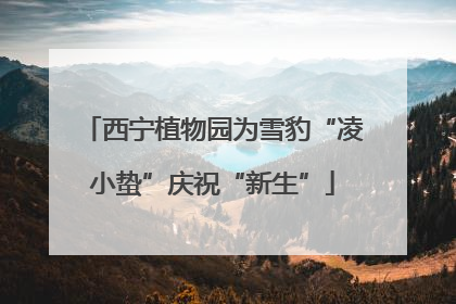 西宁植物园为雪豹“凌小蛰”庆祝“新生”