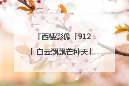西楼影像「912」白云飘飘芒种天