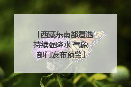 西藏东南部遭遇持续强降水 气象部门发布预警
