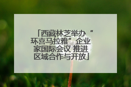 西藏林芝举办“环喜马拉雅”企业家国际会议 推进区域合作与开放