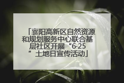 襄阳高新区自然资源和规划服务中心联合基层社区开展“6·25”土地日宣传活动