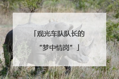 观光车队队长的“梦中情岗”