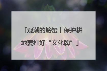 观潮的螃蟹丨保护耕地要打好“文化牌”