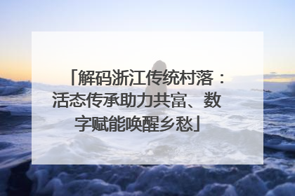 解码浙江传统村落：活态传承助力共富、数字赋能唤醒乡愁
