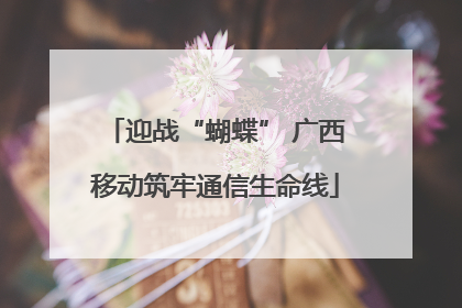 迎战“蝴蝶” 广西移动筑牢通信生命线