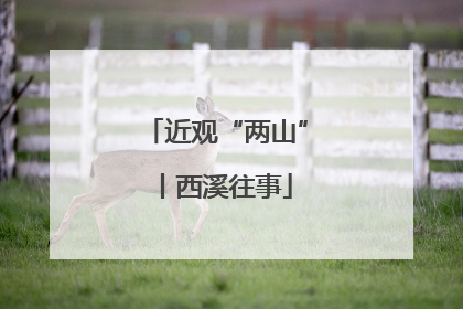 近观“两山”丨西溪往事