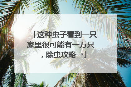 这种虫子看到一只家里很可能有一万只，除虫攻略→