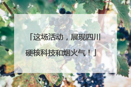 这场活动，展现四川硬核科技和烟火气！