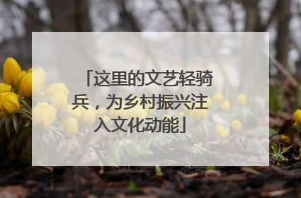 这里的文艺轻骑兵，为乡村振兴注入文化动能