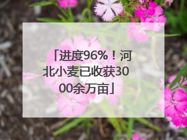 进度96%！河北小麦已收获3000余万亩