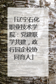 辽宁石化职业技术学院：党建联学共建，政行园企校协同育人