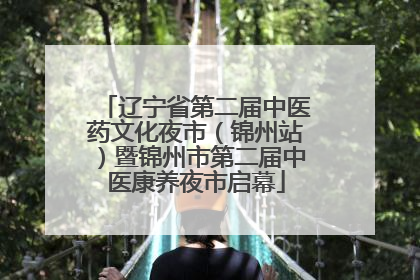 辽宁省第二届中医药文化夜市（锦州站）暨锦州市第二届中医康养夜市启幕