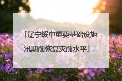 辽宁绥中重要基础设施汛期前恢复灾前水平