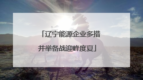 辽宁能源企业多措并举备战迎峰度夏