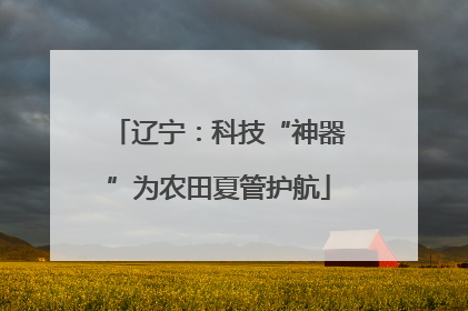 辽宁：科技“神器”为农田夏管护航