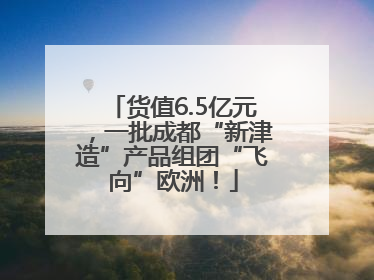 货值6.5亿元，一批成都“新津造”产品组团“飞向”欧洲！