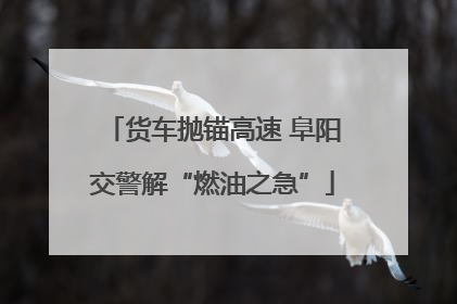 货车抛锚高速 阜阳交警解“燃油之急”