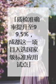 质检准确率提升至99.5%，成都这一项目入选国家级标准应用试点