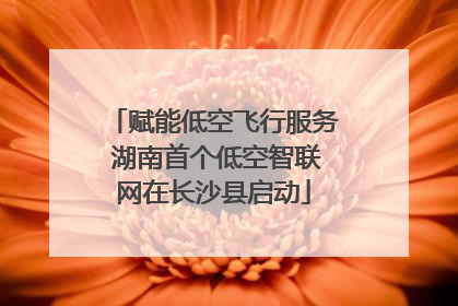 赋能低空飞行服务 湖南首个低空智联网在长沙县启动