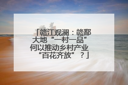 赣江观澜：赣鄱大地“一村一品”何以推动乡村产业“百花齐放”？