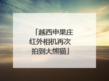 越西申果庄红外相机再次拍到大熊猫