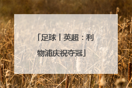 足球丨英超：利物浦庆祝夺冠