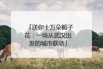 送你十万朵栀子花：一场从武汉出发的城市联动