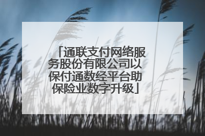 通联支付网络服务股份有限公司以保付通数经平台助保险业数字升级